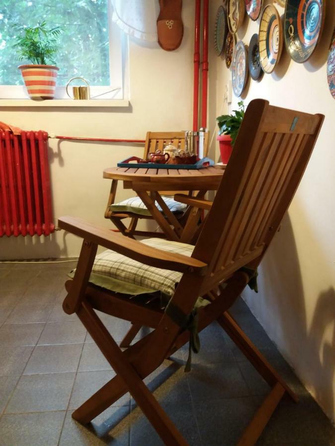 Apartament Anca Temešvár Exteriér fotografie