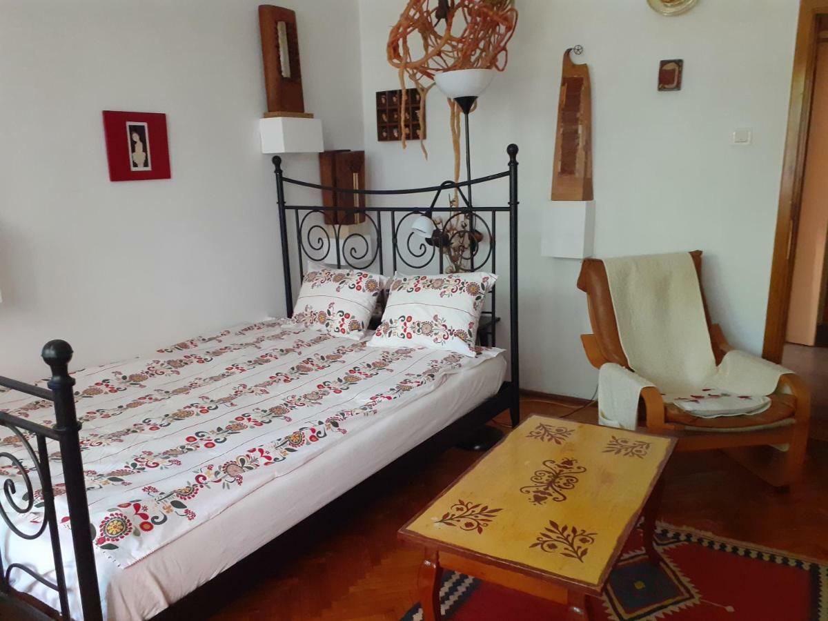 Apartament Anca Temešvár Exteriér fotografie